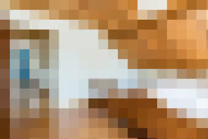 Bogardeind 161 Geldrop thumbnail 29
