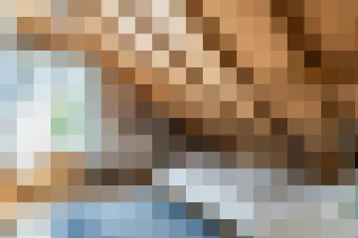 Bogardeind 161 Geldrop thumbnail 31