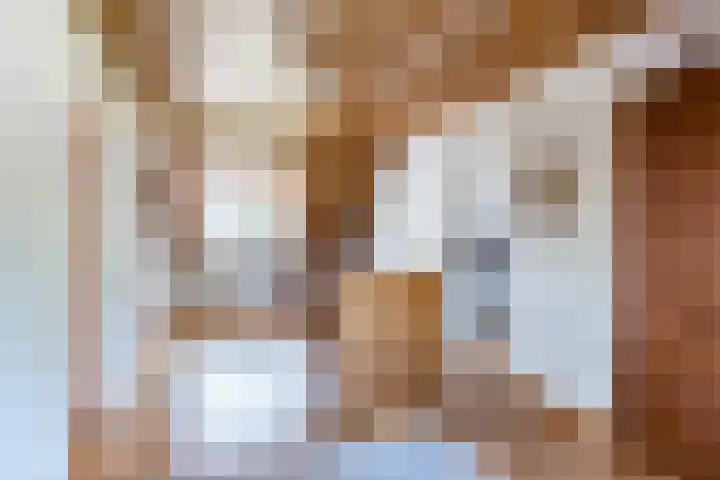 Bogardeind 161 Geldrop thumbnail 32