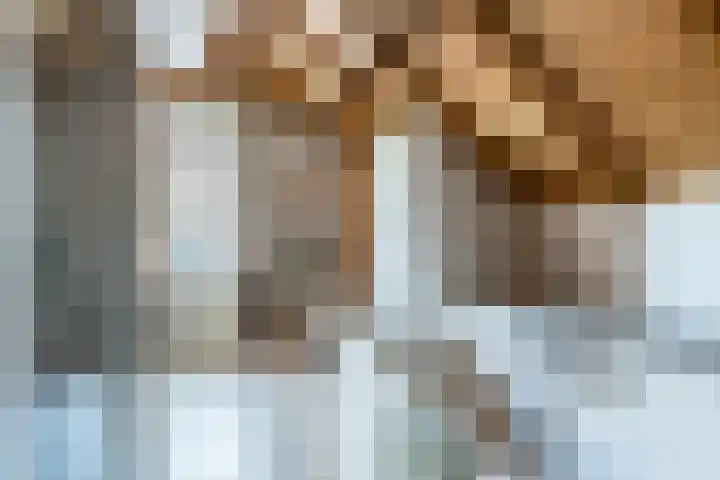 Bogardeind 161 Geldrop thumbnail 35