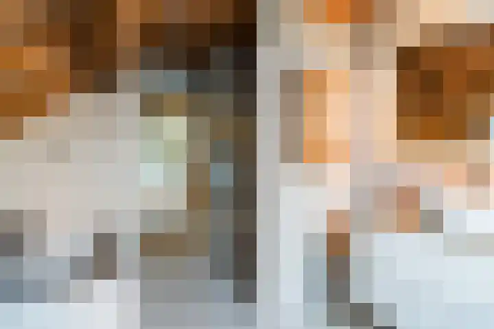 Bogardeind 161 Geldrop thumbnail 36