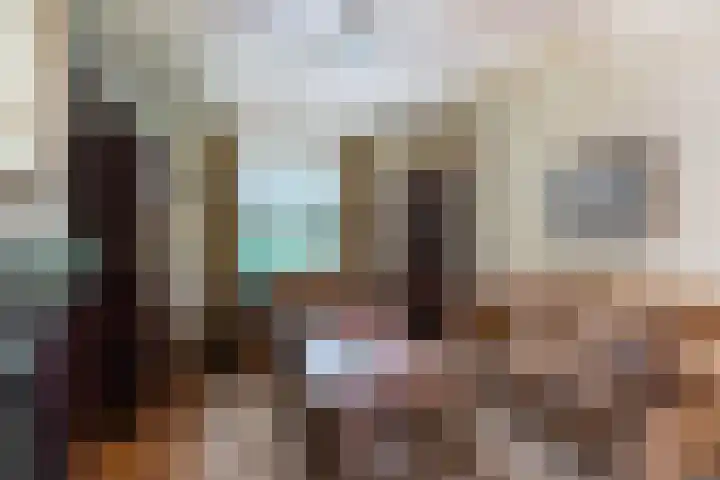 Bogardeind 161 Geldrop thumbnail 4