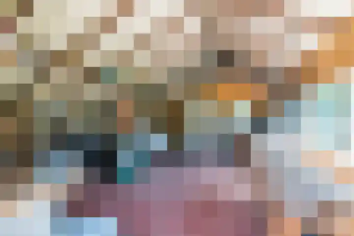 Bogardeind 161 Geldrop thumbnail 44