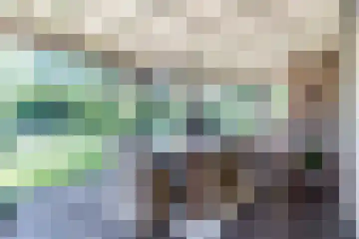 Bogardeind 161 Geldrop thumbnail 45