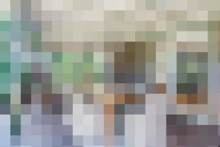 Bogardeind 161 Geldrop thumbnail 46