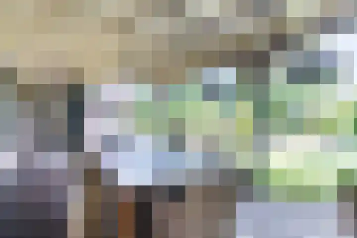 Bogardeind 161 Geldrop thumbnail 47