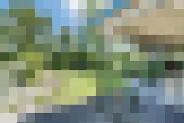 Bogardeind 161 Geldrop thumbnail 48