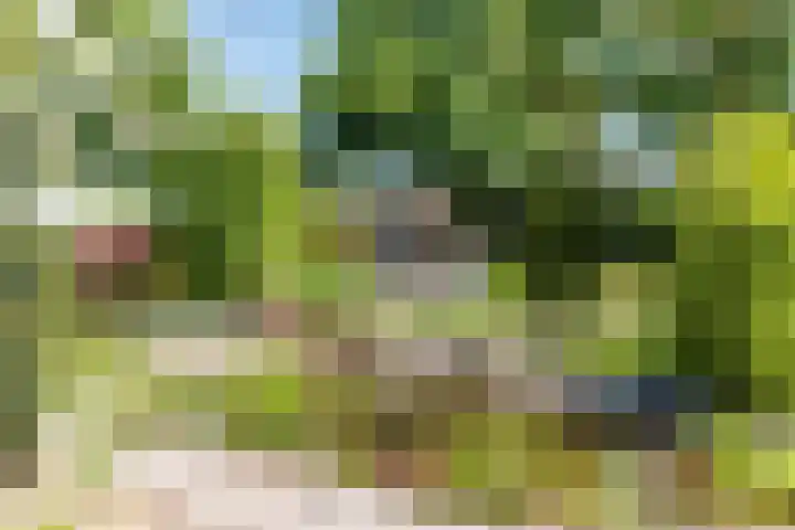 Bogardeind 161 Geldrop thumbnail 49