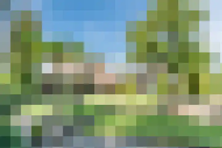 Bogardeind 161 Geldrop thumbnail 51