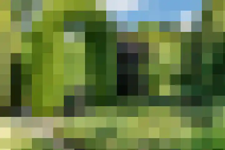 Bogardeind 161 Geldrop thumbnail 52