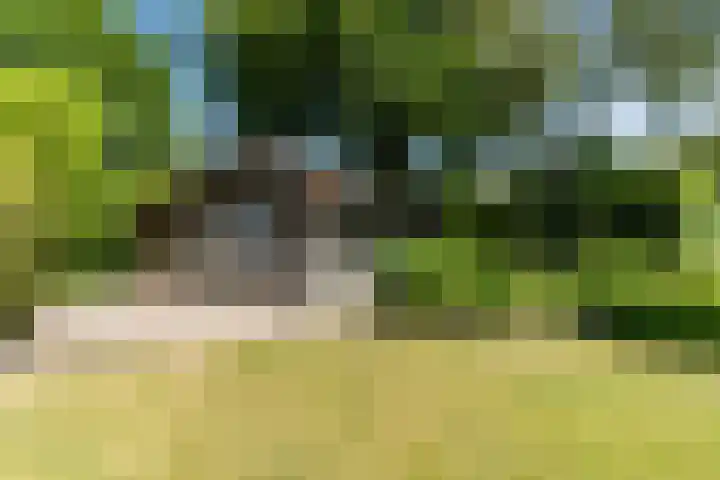 Bogardeind 161 Geldrop thumbnail 53