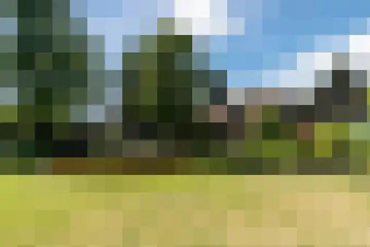 Bogardeind 161 Geldrop thumbnail 54