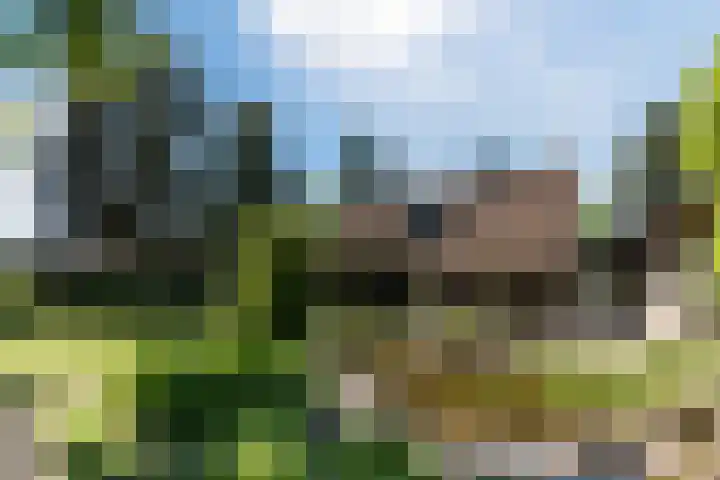 Bogardeind 161 Geldrop thumbnail 55
