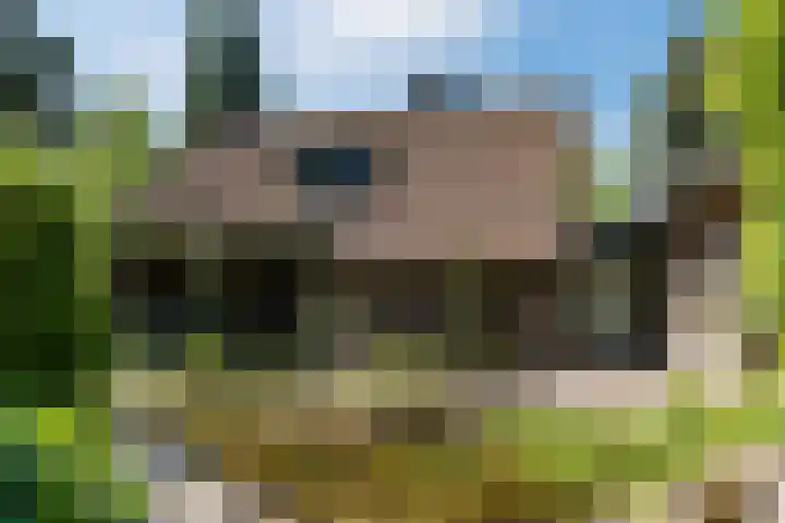 Bogardeind 161 Geldrop thumbnail 56