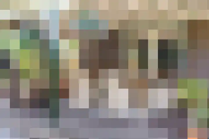Bogardeind 161 Geldrop thumbnail 57