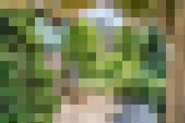 Bogardeind 161 Geldrop thumbnail 58