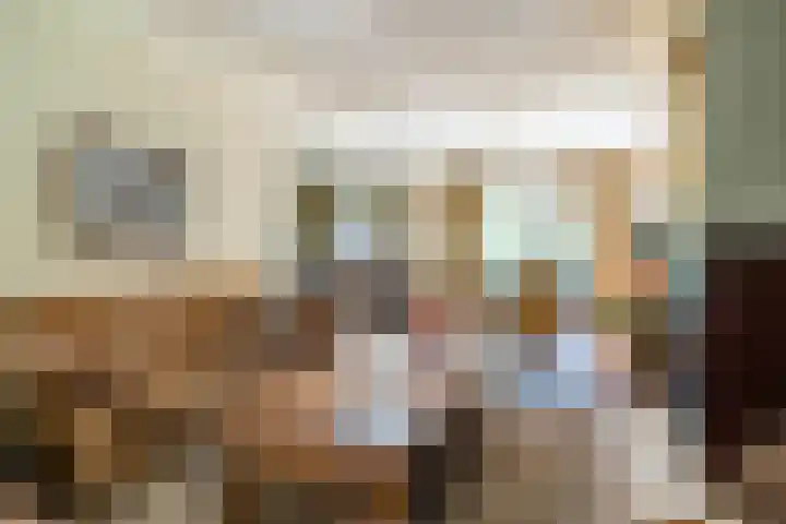Bogardeind 161 Geldrop thumbnail 6
