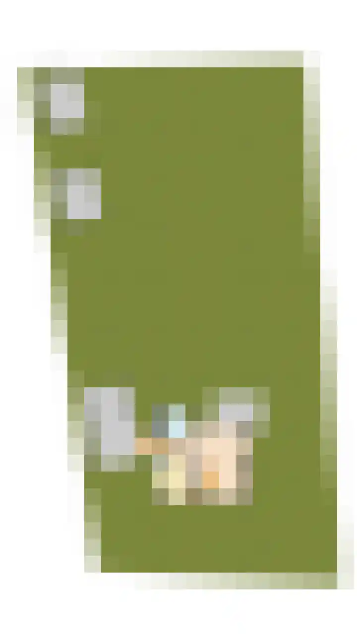 Bogardeind 161 Geldrop thumbnail 65