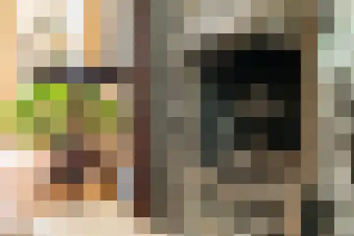 Bogardeind 161 Geldrop thumbnail 7