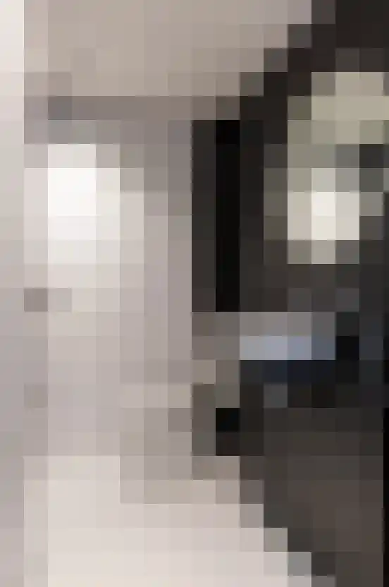 Bogardeind 219 Geldrop thumbnail 4