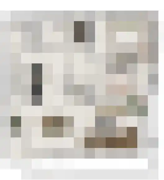 Bogardeind 23 Geldrop thumbnail 10