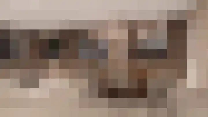 Bogardeind 23 Geldrop thumbnail 5
