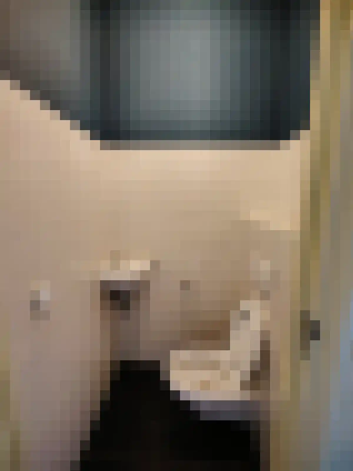 Bogardeind 25 Geldrop thumbnail 6