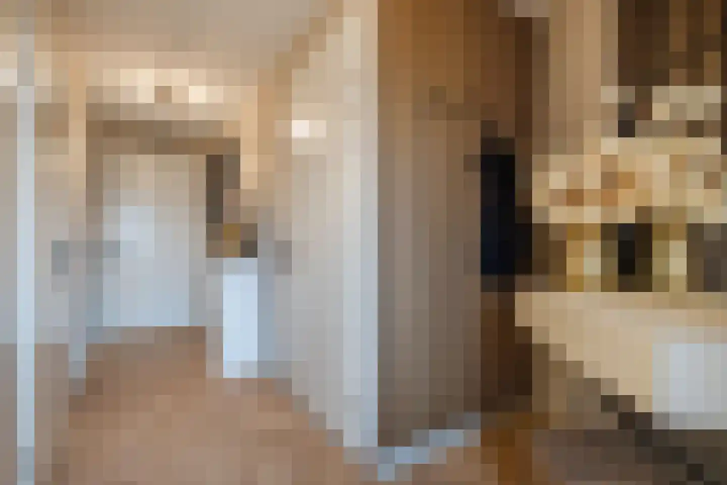Bogardeind 26 Geldrop thumbnail 11