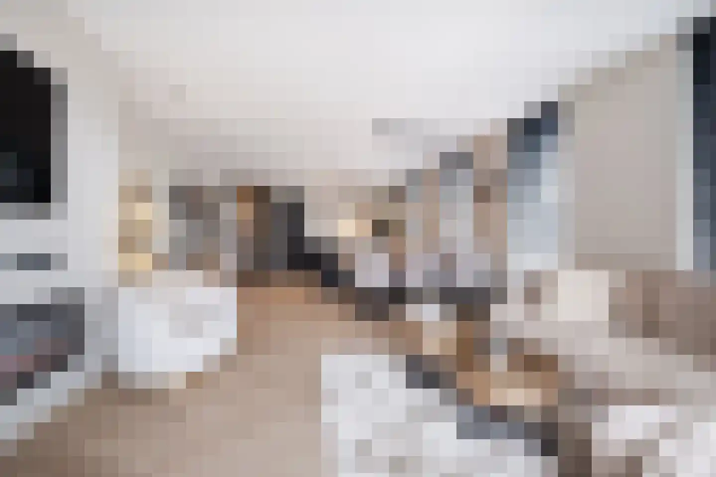Bogardeind 26 Geldrop thumbnail 14