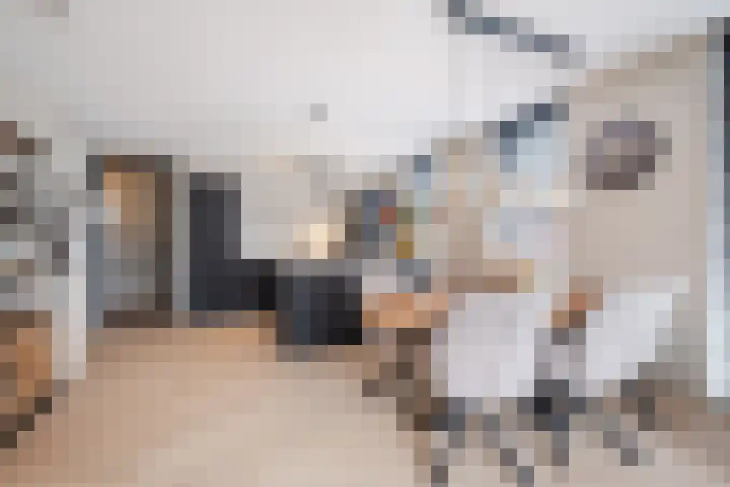 Bogardeind 26 Geldrop thumbnail 15