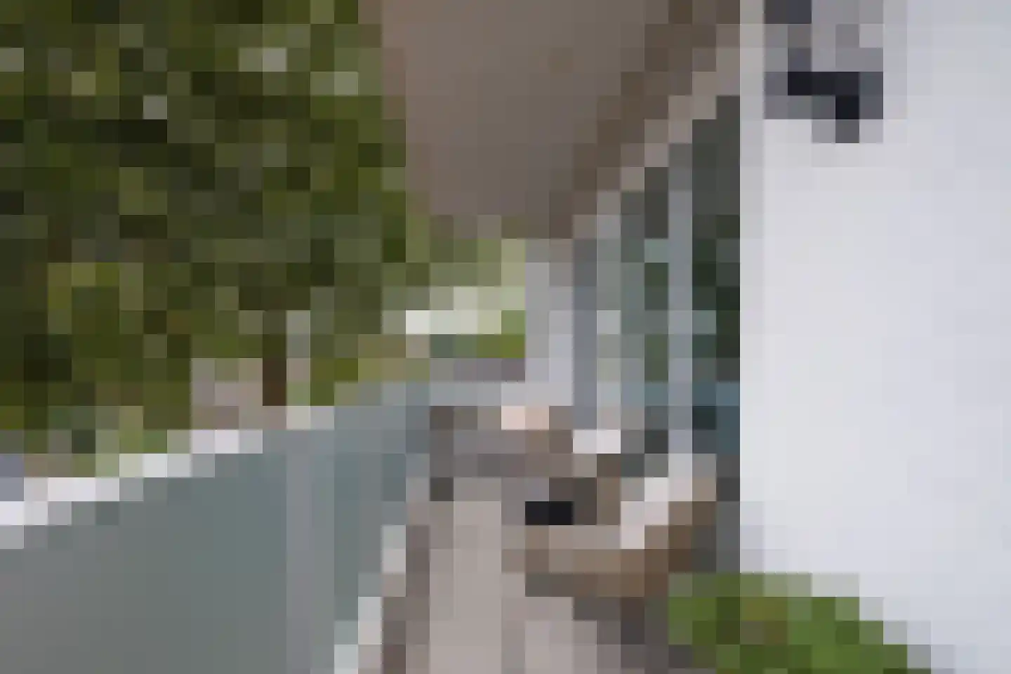 Bogardeind 26 Geldrop thumbnail 31
