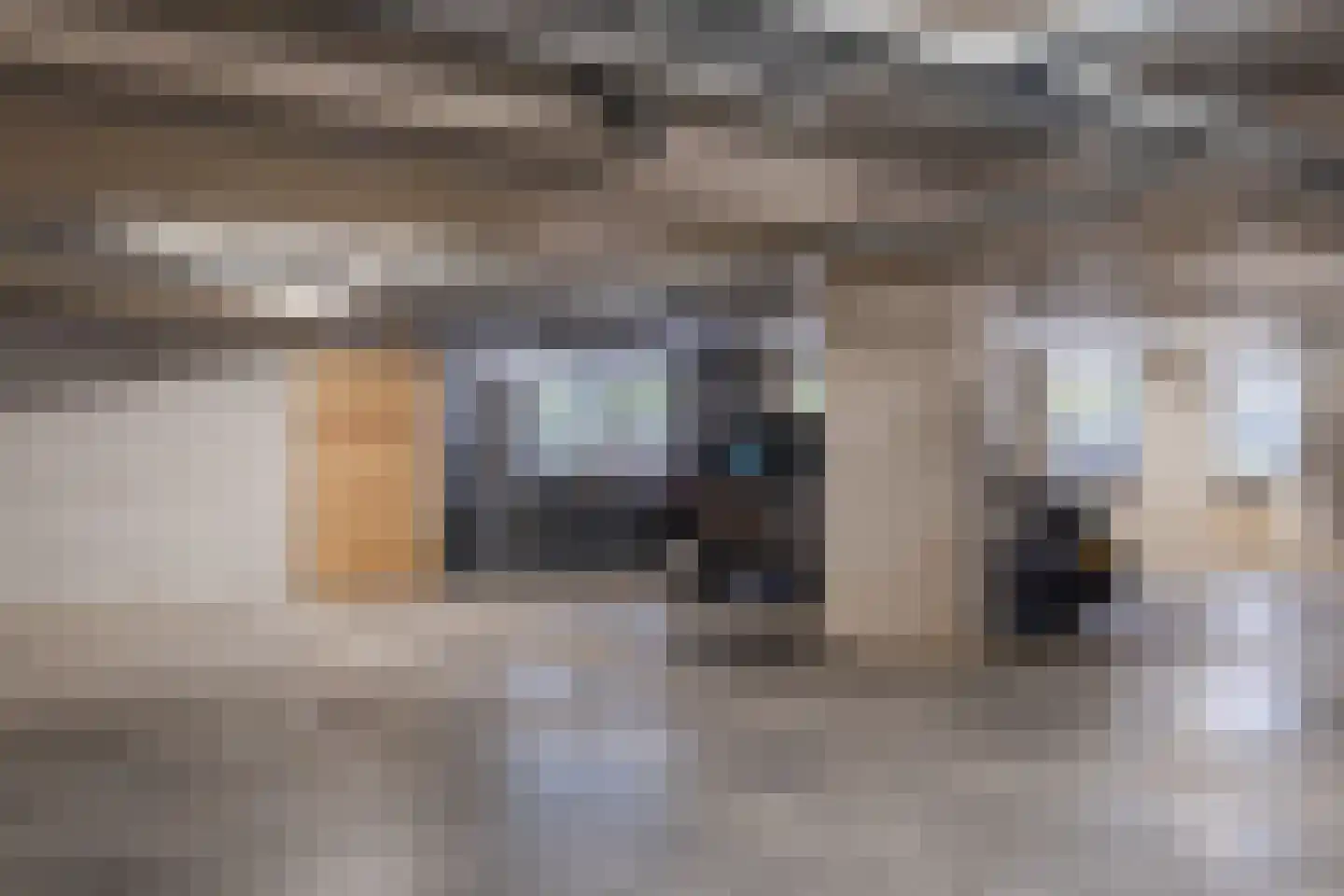 Bogardeind 26 Geldrop thumbnail 34