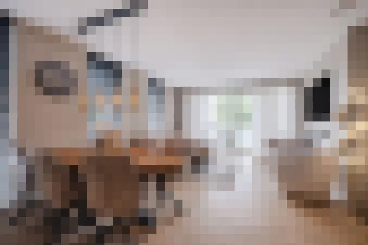 Bogardeind 26 Geldrop thumbnail 4