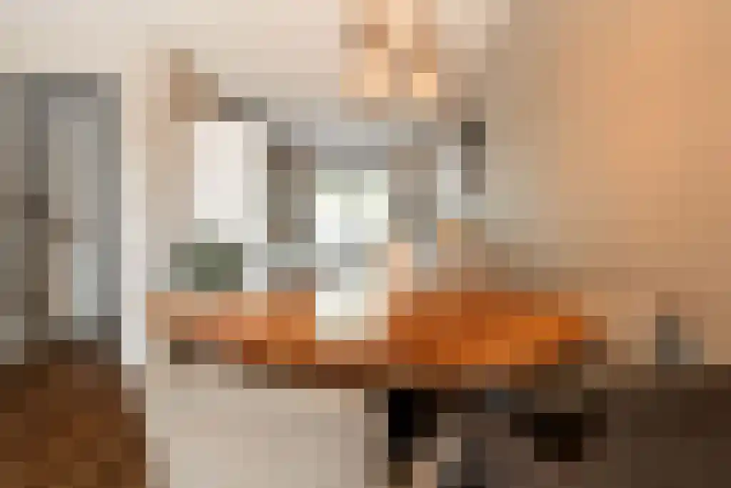 Bogardeind 33 A Geldrop thumbnail 12