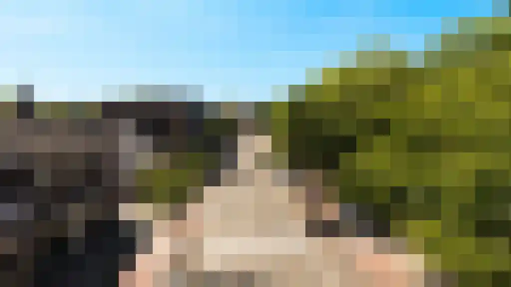 Bogardeind 33 A Geldrop thumbnail 17