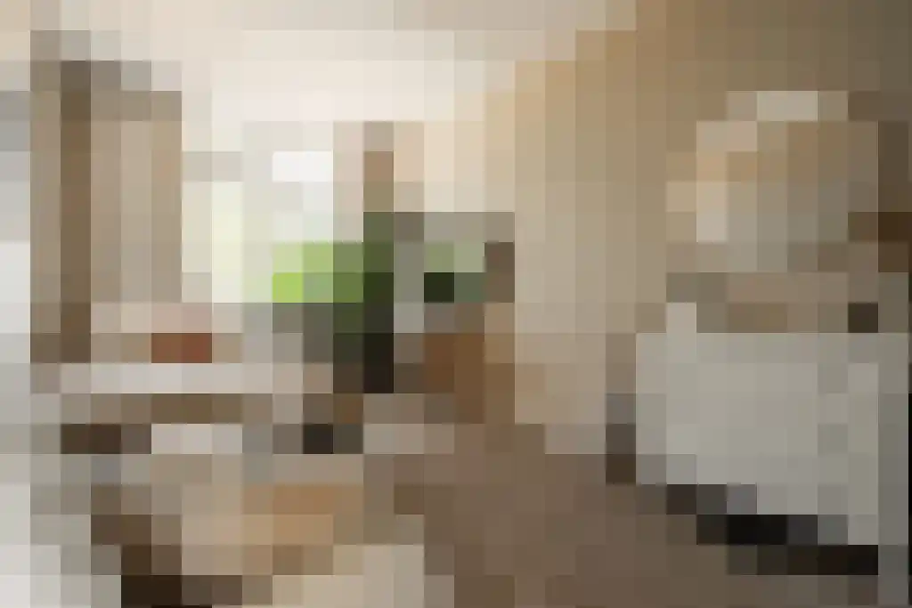 Bogardeind 33 A Geldrop thumbnail 28