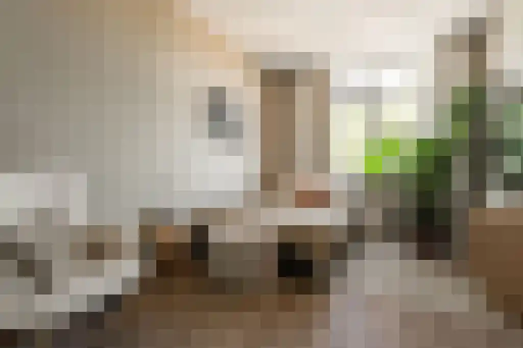 Bogardeind 33 A Geldrop thumbnail 29