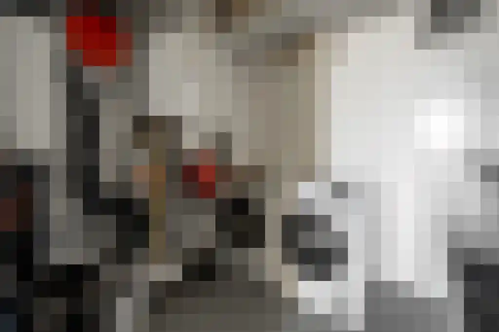 Bogardeind 33 A Geldrop thumbnail 30
