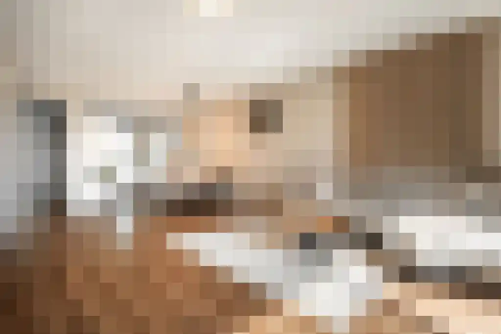 Bogardeind 33 A Geldrop thumbnail 4