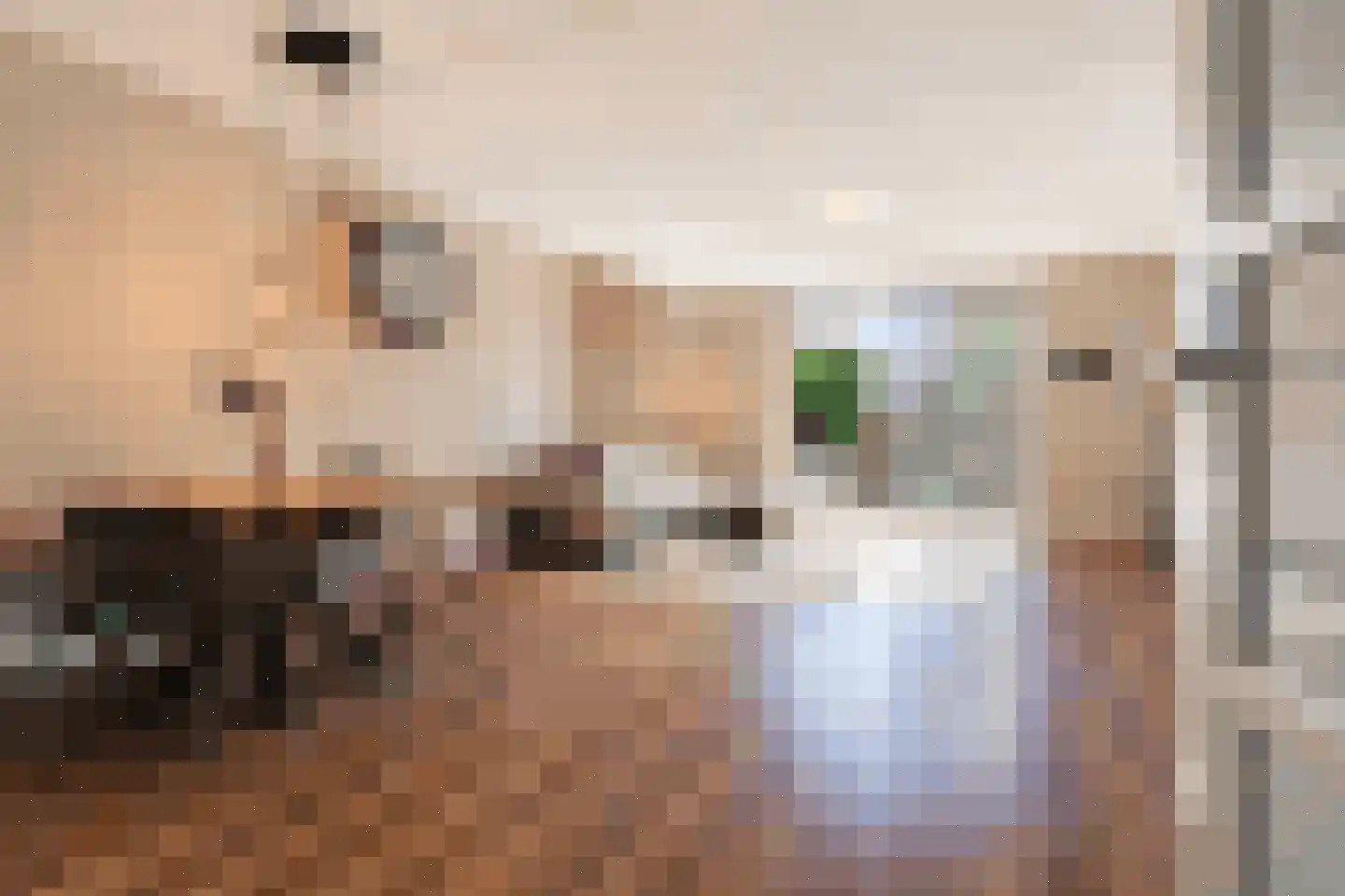 Bogardeind 33 A Geldrop thumbnail 5