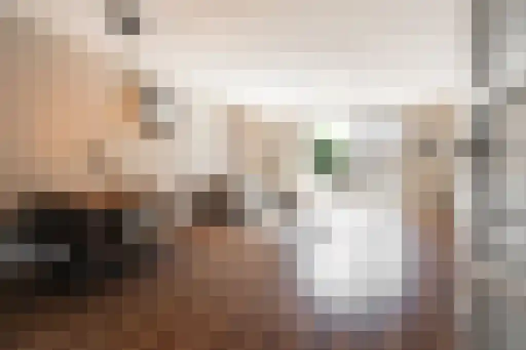 Bogardeind 33 A Geldrop thumbnail 9