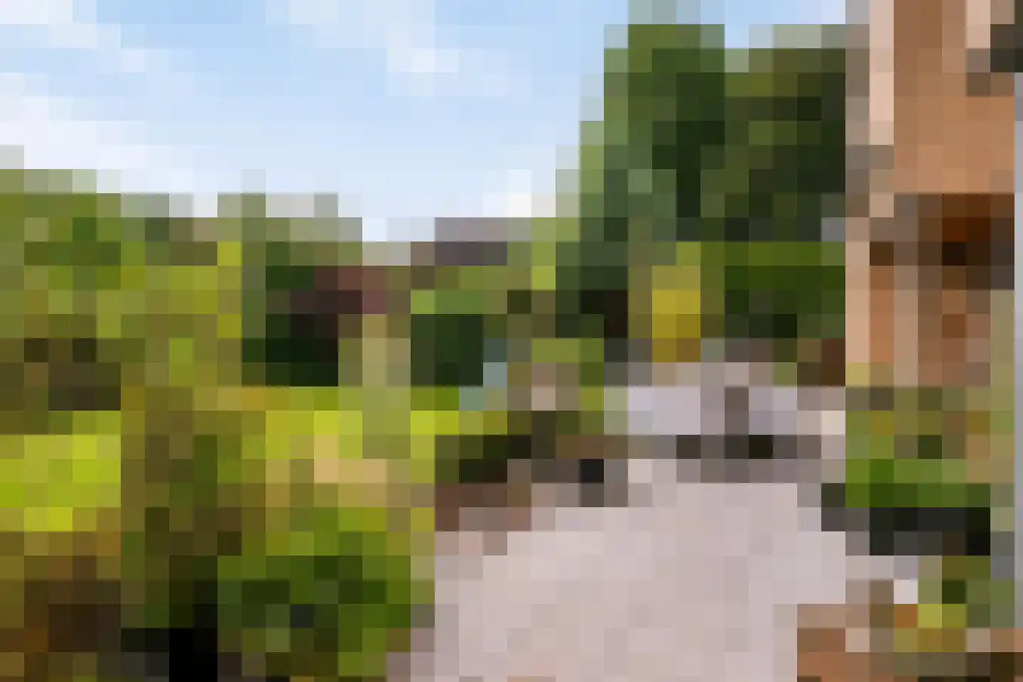 Bogardeind 76 B Geldrop thumbnail 29