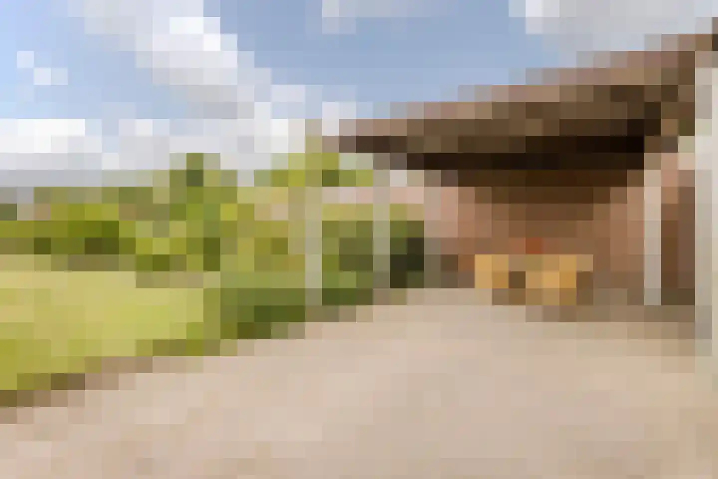 Bogardeind 76 B Geldrop thumbnail 37