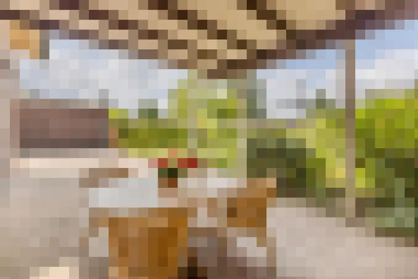 Bogardeind 76 B Geldrop thumbnail 38