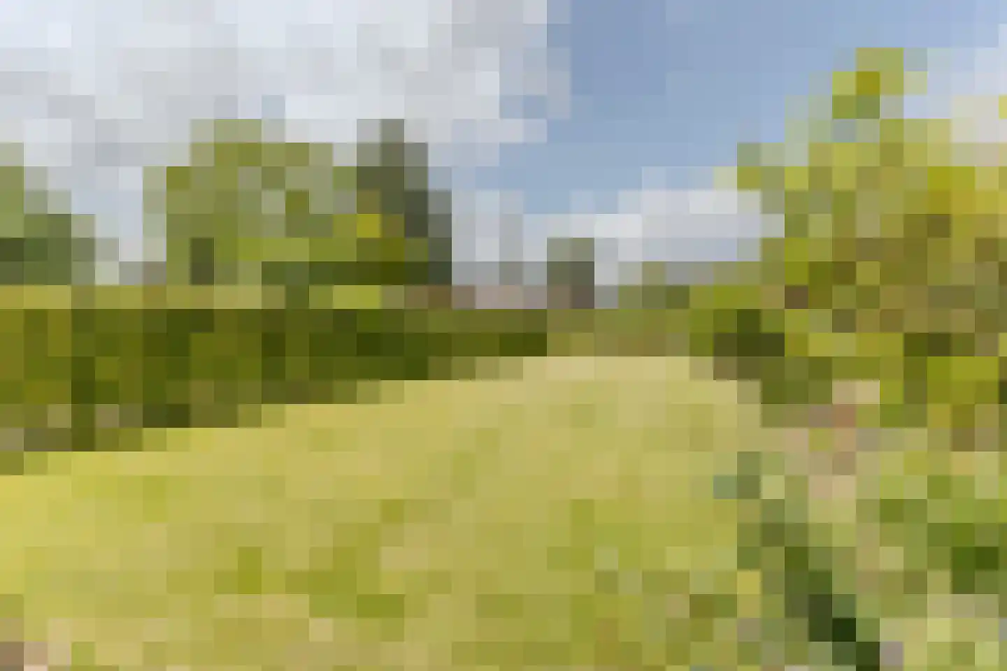Bogardeind 76 B Geldrop thumbnail 40