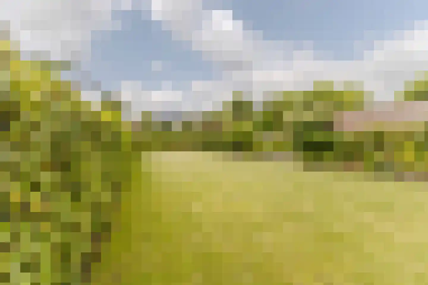 Bogardeind 76 B Geldrop thumbnail 42