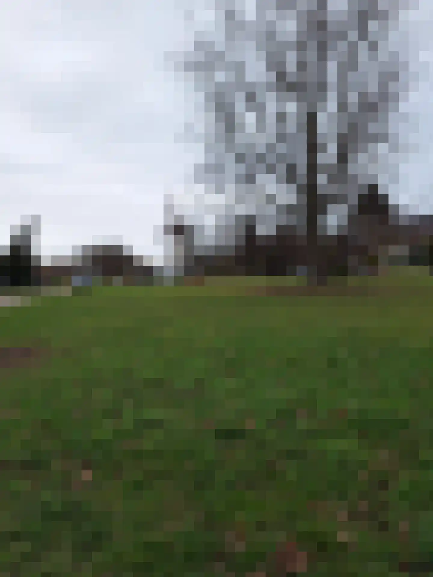 Bogardeind 76 B Geldrop thumbnail 52