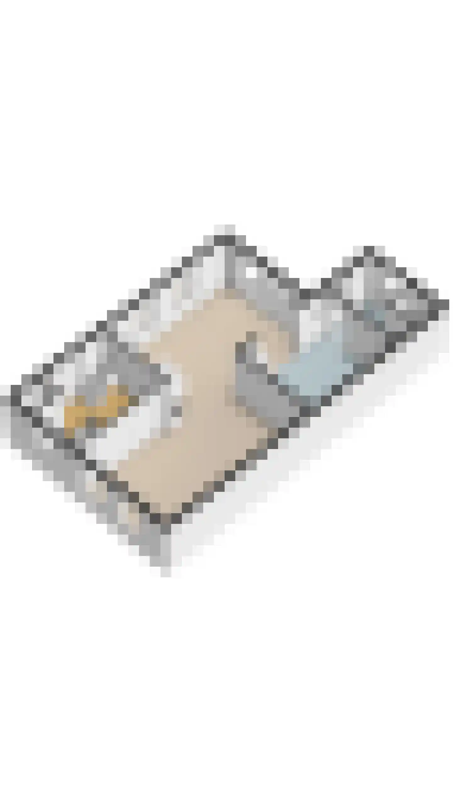 Bogardeind 76 B Geldrop thumbnail 59