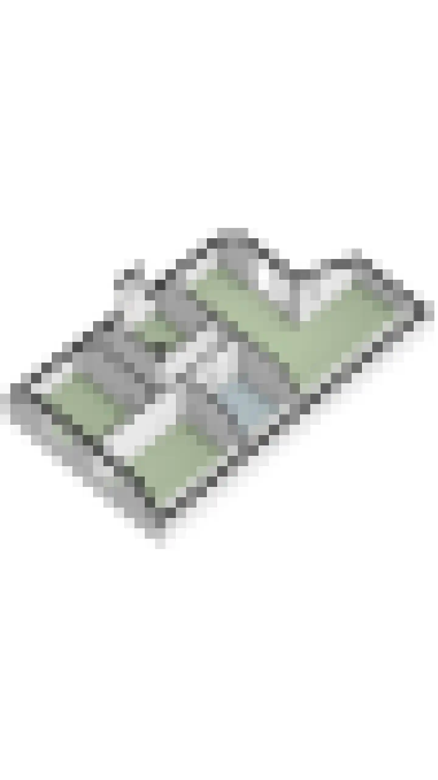 Bogardeind 76 B Geldrop thumbnail 60