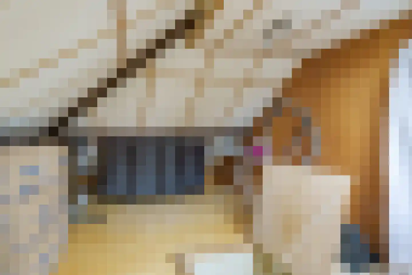 Bogardeind 78 A Geldrop thumbnail 43